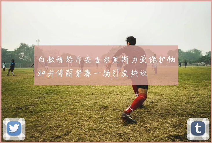 白教练怒斥安吉尔里斯为受保护物种并停薪禁赛一场引发热议