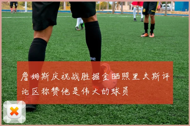 詹姆斯庆祝战胜掘金晒照里夫斯评论区称赞他是伟大的球员
